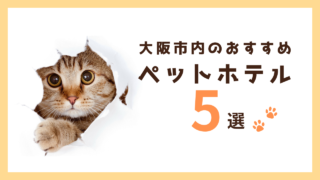 大阪市内のおすすめペットホテル5選