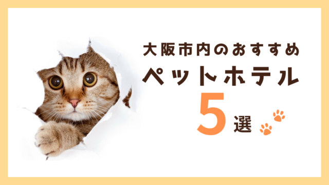 大阪市内のおすすめペットホテル5選
