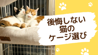 後悔しない猫のケージ選び