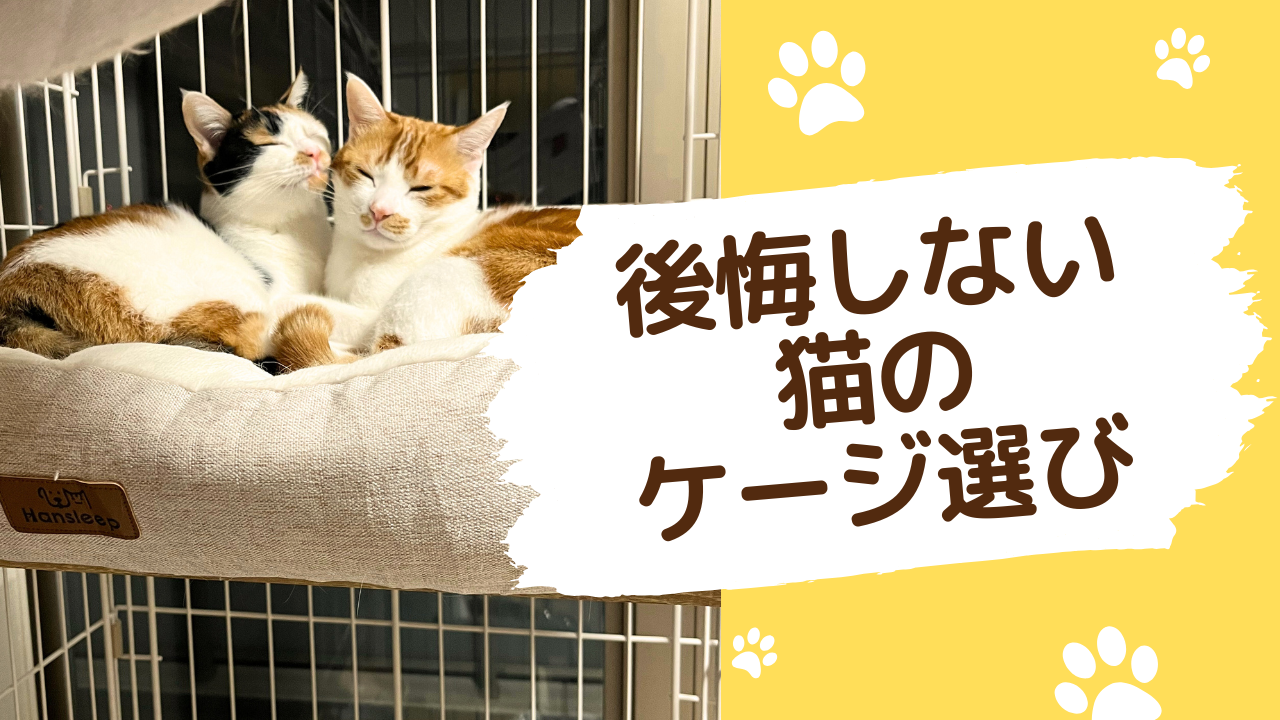 後悔しない猫のケージ選び