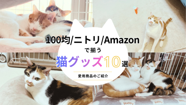 【2匹飼い愛用】100均・ニトリ・Amazonで揃う猫グッズ10選｜本音レビュー