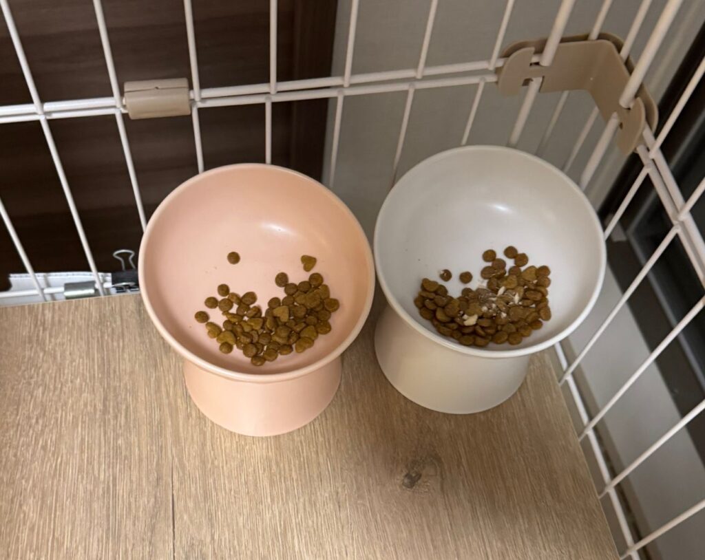 フードボウル