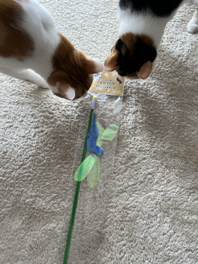 じゃれっこ棒